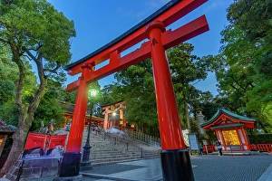 Aesthetic Prints: View of Torii Gate at Fushimi Inari Shrine at dusk