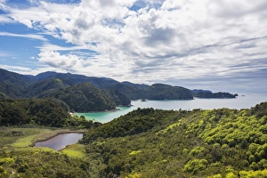 Tasman Prints: View over Torrent Bay from the Abel Tasman Coast Track, Abel Tasman National Park