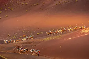 Las Palmas Prints: View of tourists riding camels