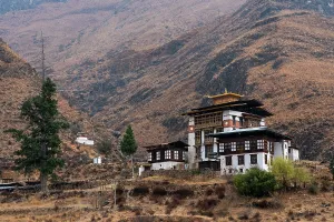 Bhutan Prints: View of traditional building in Paro surrounded by mountains and trees during daytime
