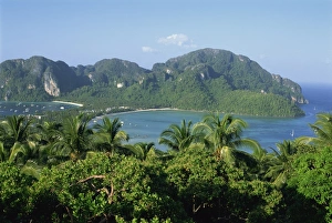 Ko Phi Phi Prints: View over trees to the bay and coastline