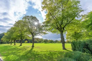 Queens Prints: View of trees in Queens Park shows autumn colors in Chesterfield
