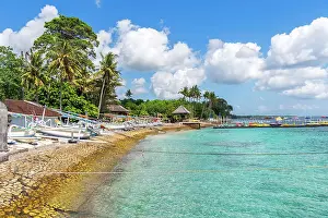 Bali Prints: View of a tropical beach with palms and trees along the coast of the island of Nusa Penida