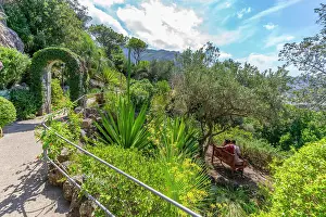 Day Trip Prints: View of tropical flora in Giardini la Mortella Botanical Garden