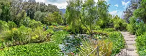 Green Spaces Prints: View of tropical flora in Giardini la Mortella Botanical Gardens