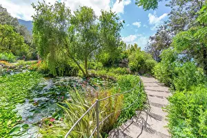 Gardening Prints: View of tropical flora in Giardini la Mortella Botanical Gardens