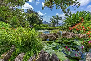 Outdoor Exploration Prints: View of tropical flora in Giardini la Mortella Botanical Gardens