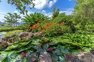 Gardening Prints: View of tropical flora in Giardini la Mortella Botanical Gardens