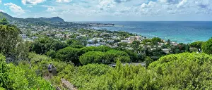 Lush Vegetation Prints: View of tropical flora in Giardini la Mortella Botanical Gardens and Forio in background