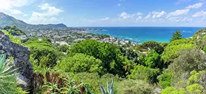 Local Flora Prints: View of tropical flora in Giardini la Mortella Botanical Gardens and Forio in background