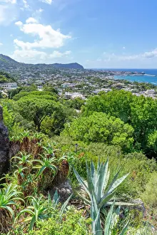 Scenic Landscape Prints: View of tropical flora in Giardini la Mortella Botanical Gardens and Forio in background