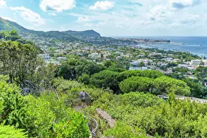 Coastal View Prints: View of tropical flora in Giardini la Mortella Botanical Gardens and Forio in background