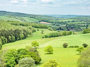 West Sussex Prints: View from The Trundle, Goodwood