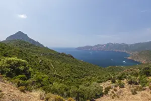 Southern Corsica Prints: Top view of turquoise sea and bay framed by green vegetation on the promontory, Porto