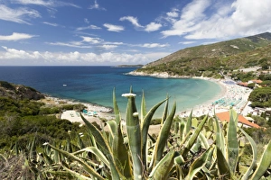 Livorno Province Prints: View of turquoise sea and Cavoli Beach, Marciana, Elba Island, Livorno Province, Tuscany