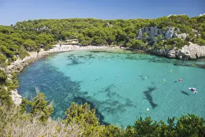 Menorca Prints: View over the turquoise waters of Cala Macarella to pine-fringed sandy beach