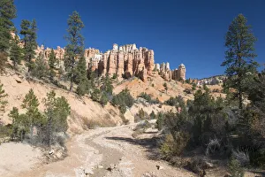 Traditionally American Gallery: View to typical rock hoodoos from the Mossy Cave Trail, Water Canyon