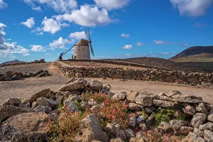 Windmills Prints: View of typical windmill and landscape on a sunny day