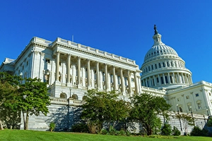 Civic Prints: View of the United States Capitol Building, Washington, D.C. United States of America