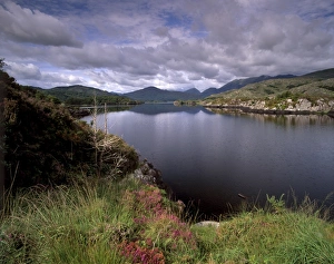 View of Upper Lake