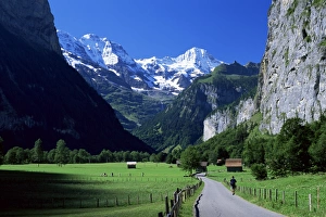 Bern Prints: View along valley to the Breithorn