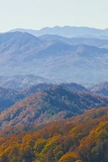 Images Dated 5th November 2008: View over a valley with colourful foliage in the Indian summer, Great Smoky Mountains National Park