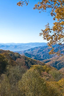 Images Dated 5th November 2008: View over valley with colourful foliage in the Indian summer, Great Smoky Mountains National Park