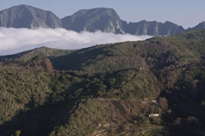 Images Dated 2nd January 2009: View over a valley, Garajonay National Park, UNESCO World Heritage Site