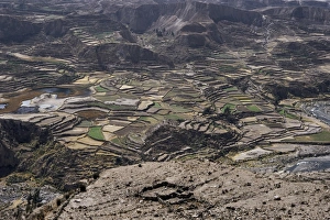 Colca Canyon Prints: View over valley and Inca terraces near Chivay