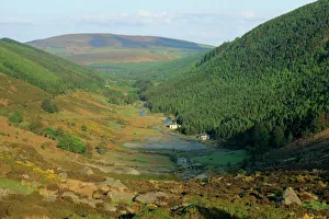 View down a valley near Glendalough
