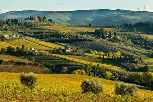 View of valley of Panzano in Chianti, patterned lines of vineyards