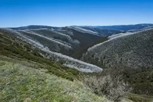 Images Dated 3rd November 2008: View over the Victorian Alps mountain range, Victoria, Australia, Pacific
