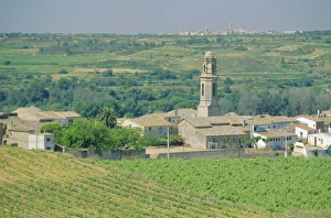 Cultivate Prints: View to village across agricultural land