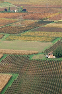Cahors Prints: View from the village of Belaye of the vineyards of Cahors, Vallee du Lot (Lot Valley)