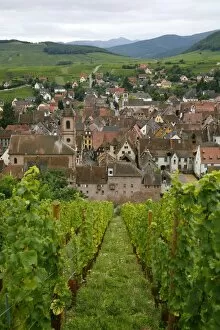 Images Dated 13th September 2008: View over the village of Riquewihr and vineyards in the Wine Route area