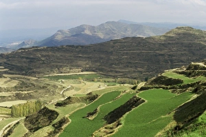 Euskadi Prints: View from the village of Ujue