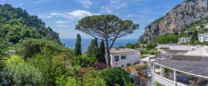 Isle Prints: View of villas and seascape from Capri Town