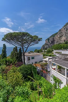 Sorrento Prints: View of villas and seascape from Capri Town