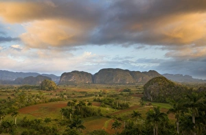 Search Results: View of Vinales Valley at dawn from grounds of Hotel Los Jasmines showing limestone hills known as