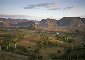 L Imestone Prints: View of Vinales Valley at dawn from grounds of Hotel Los Jasmines showing limestone hills known as Mogotes