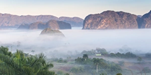 Search Results: View of Vinales Valley, UNESCO World Heritage Site, Vinales, Pinar del Rio Province