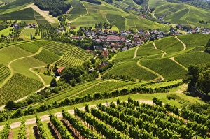 Pla Nts Prints: View of vineyards and Durbach village, Ortenau, Baden-Wurttemberg, Germany, Europe