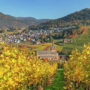 View over vineyards to Kappelrodeck in autumn, Black Forest, Baden-Wurttemberg, Germany