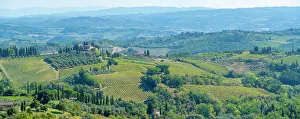 Viniculture Prints: View of vineyards and landscape near San Gimignano