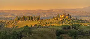 View of vineyards and landscape near San Gimignano at sunset, San Gimignano, Province of Siena, Tuscany, Italy, Europe