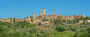 Viniculture Prints: View of vineyards and San Gimignano