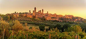 Viniculture Prints: View of vineyards and San Gimignano at sunrise