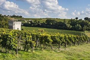 Cultivated Prints: View over the vineyards, UNESCO World Heritage Site, St. Emilion, Gironde, Aquitaine