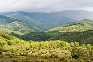 Southern Prints: View of Vis River valley and Aigoual mountains from Causse de Campestre in Southern Cevennes