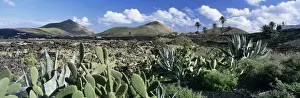 La Geria Prints: View over the volcanic landscape of Parque Natural de Los Volcanes, La Geria, Lanzarote